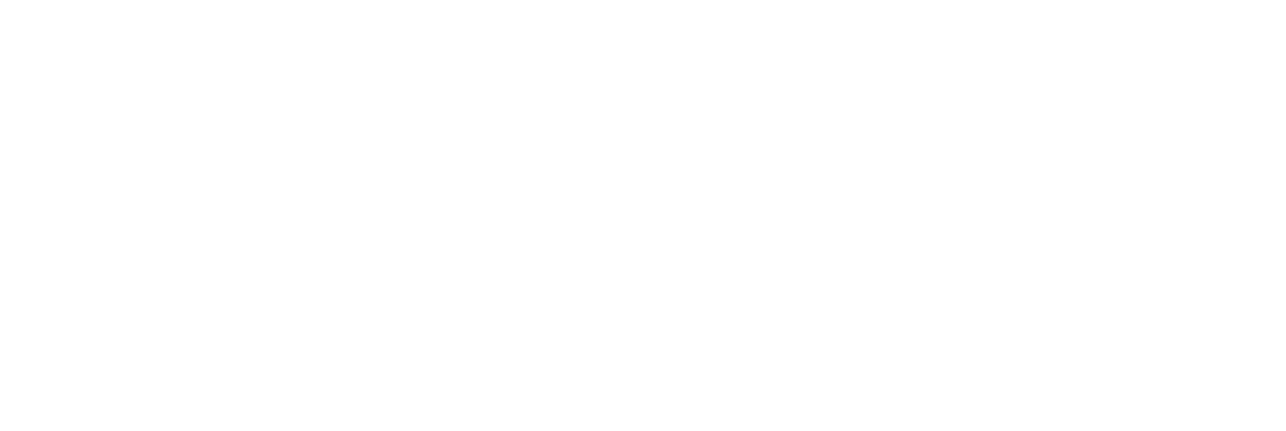 RaderCo_logo_white RaderCo_logo_white