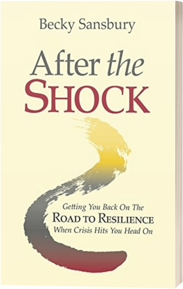 after_the_shock after_the_shock