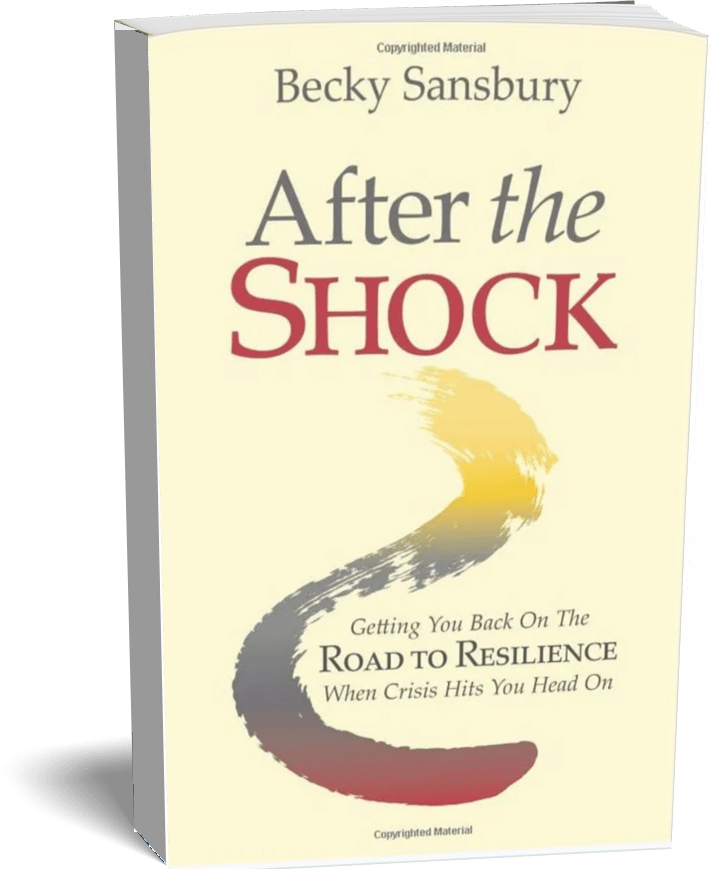 After the Shock Book