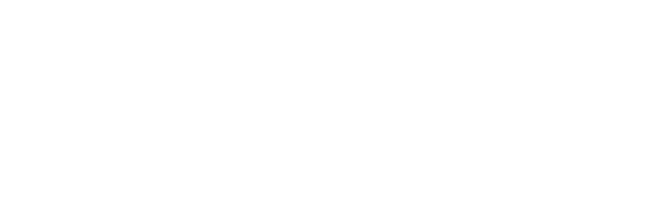 Raderco - Revitalizing Performance